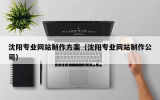 金坛沈阳专业网站制作方案（沈阳专业网站制作公司）
